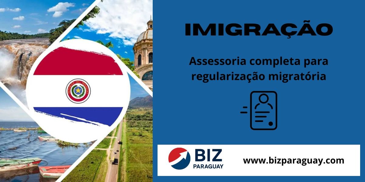 biz paraguay consulting